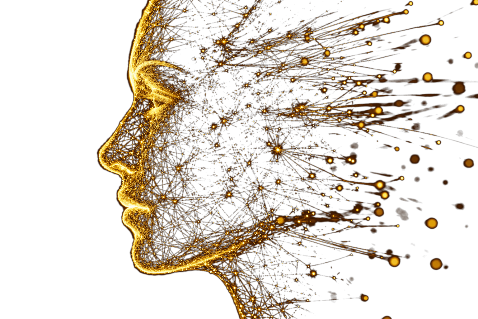 NRS cognitive humanoid